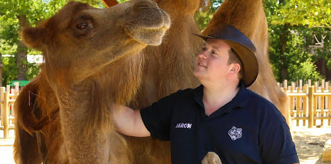 12:30 PM: One Zoo Three (S1) | CBBC | 11/19 2025