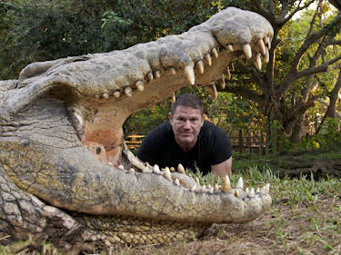 14:30: Krokodilen auf der Spur - mit Steve Backshall | Kabel Eins Doku | 9/11 2026