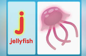 Phonics Fun: The J Song (Lowercase)