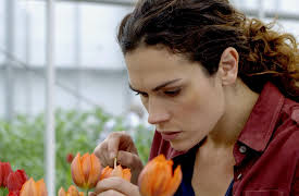 Black Tulip, Season 1: You Reap What You Sow