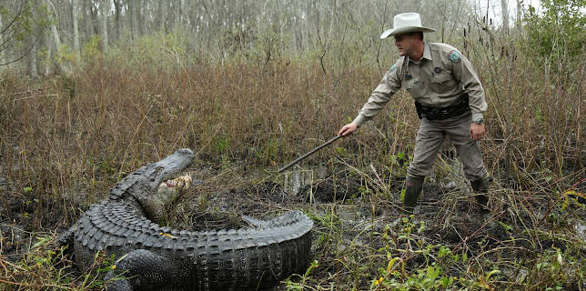 12:10: Lone Star Law  (S1 E8) (S1) | Animal Planet | 12/10 2025
