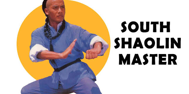 South Shaolin Master (1984)