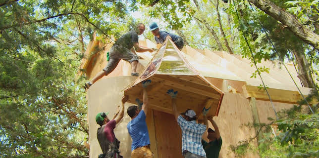 00:45: Hus i tretoppene (S6 E14) (S6) | Animal Planet | 12/5 2025