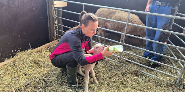 21:00: Daheim in Oberreute | BR Fernsehen | 3/2 2026