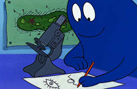 Barbapapa: The Microscope