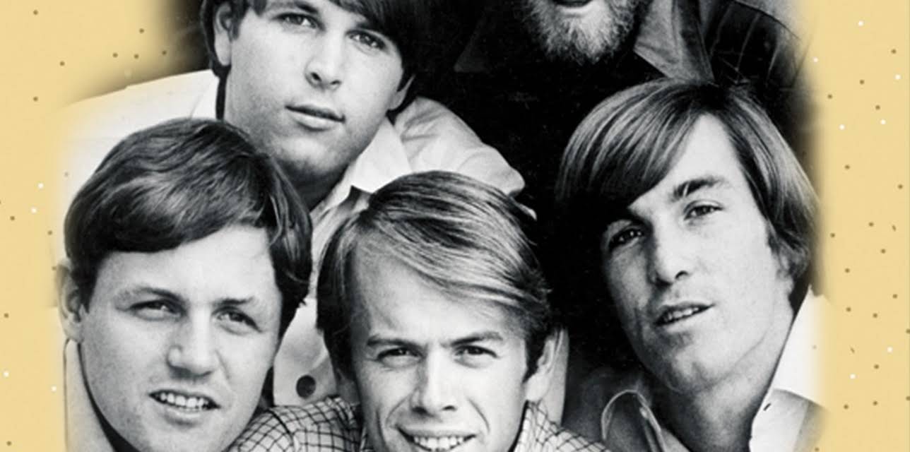 Beach Boys: Surfin' Success (2013)