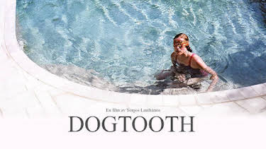 23:20: Dogtooth | SVT2 | 7/17 2026