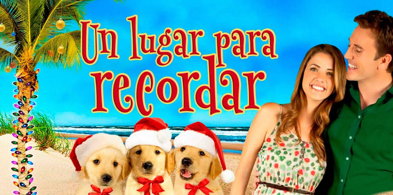 Un lugar para recordar (2011)