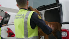 Border Patrol Australia
