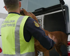 Border Patrol Australia