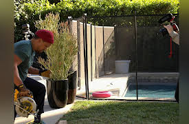 The Johnnyswim Show: Cooped Up