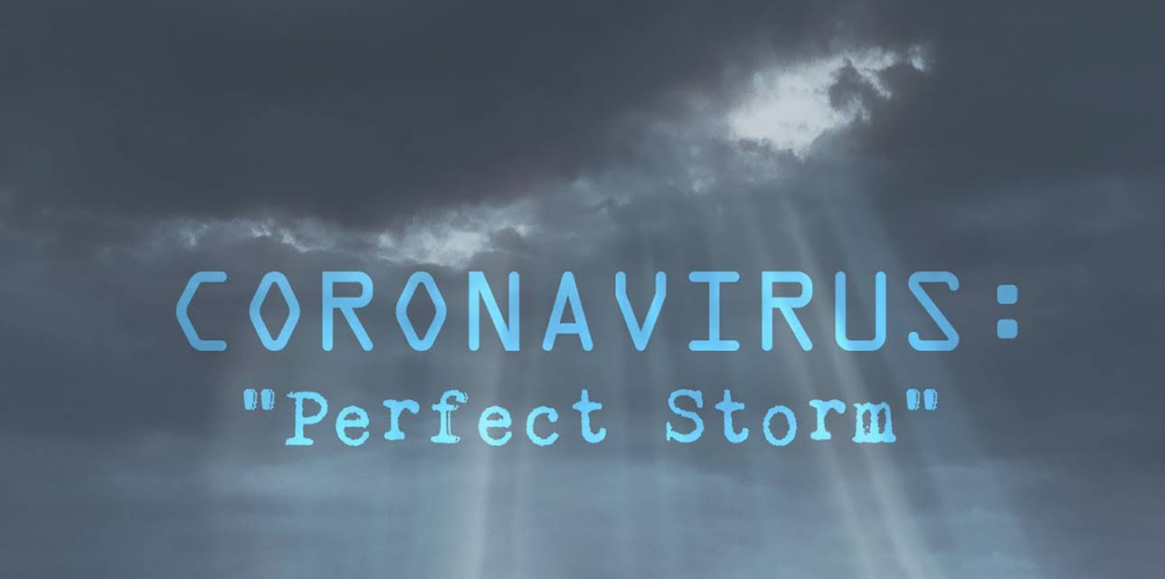 Coronavirus: Perfect Storm (2020)