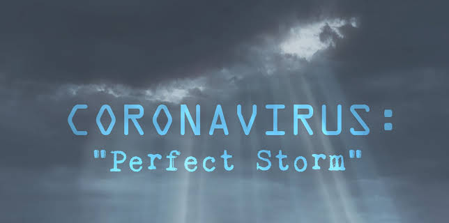 Coronavirus: Perfect Storm (2020)