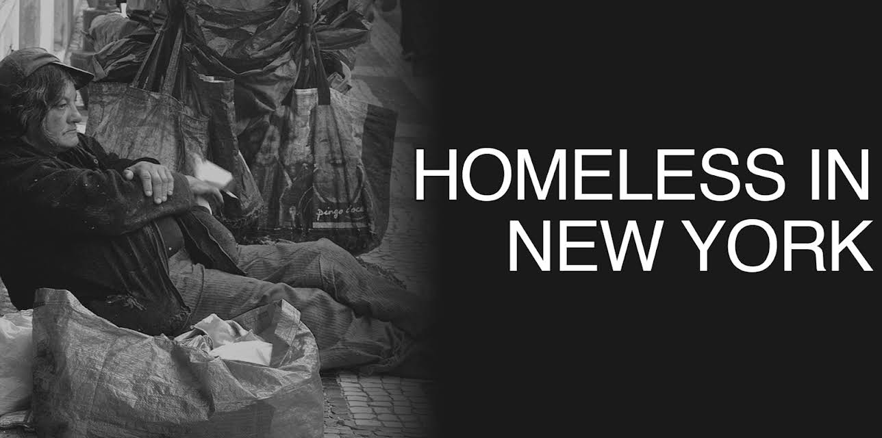 Homeless in New York (2014)