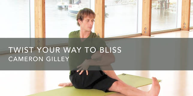 Twist Your Way to Bliss (1990)