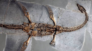 19:30: History's Greatest Mysteries | Kabel Eins Doku | 3/28 2026