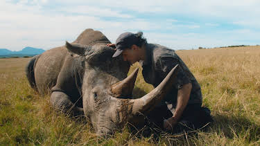 10:00 PM: The Supervet: Noel Fitzpatrick (S8 E10) (S8) | W | 4/6 2026