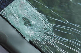 Live PD Presents: Florida Heat Season 1: Episode 11