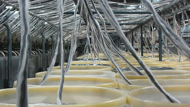 05:20: How Do They Do It? (S10 E10) (S10) | Kanal 9 | 4/7 2026