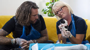 11:00 AM: Pete Wicks: For Dogs' Sake (S1 E2) (S1) | W | 4/3 2026