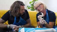 Pete Wicks: For Dogs' Sake (S1 E2)