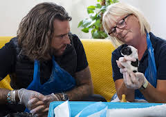 Pete Wicks: For Dogs' Sake