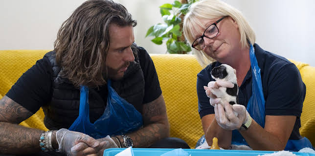 6:00 PM: Pete Wicks: For Dogs' Sake (S1 E2) (S1) | W | 11/23 2025