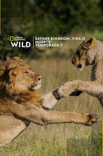 18:55: Savage Kingdom: La roca del leopardo | Nat Geo Wild | 10/13 2026