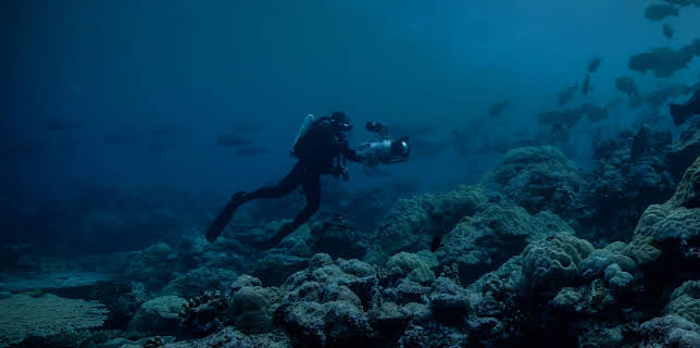 La Tierra de noche: Un rodaje a oscuras (2020)