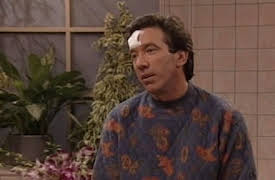 Home Improvement Season 1: Forever Jung