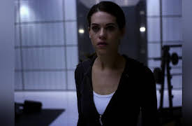 Nikita: Season 1: Echoes
