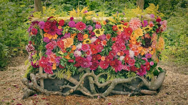 14:05: Hygge i hagen: Vårlauk og DJ-bås | NRK 2 | 5/2 2026