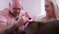 Hundehuset: Diskusjonar