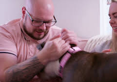 Hundehuset: Diskusjonar