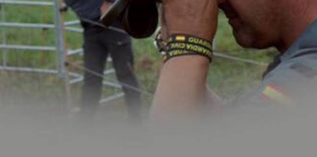 08:14: Seprona en acción: Episodio 3 | Discovery Max | 2/20 2026