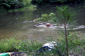 When Vacations Attack!: Episode 6