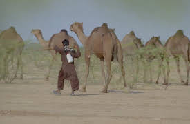 Revealed: Rann of Kutch: Revealed: Rann of Kutch