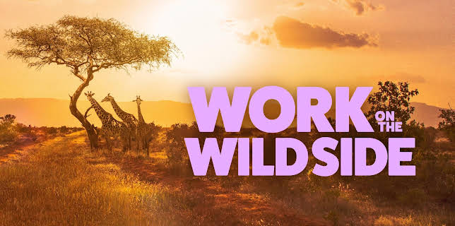 Work on the Wild Side, Season 1