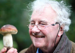 The Magic of Mushrooms