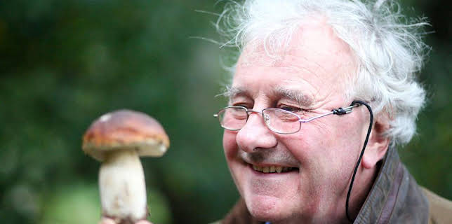 8:00 PM: The Magic of Mushrooms | BBC Four | 11/19 2025