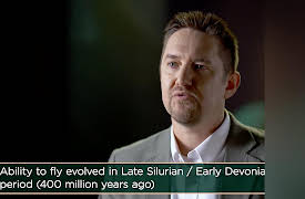 Why Insects Matter: Earth’s Most Essential Species: Insects That Fly