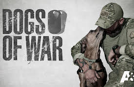 Dogs of War Season 1: Stephanie