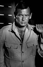 David Janssen as 