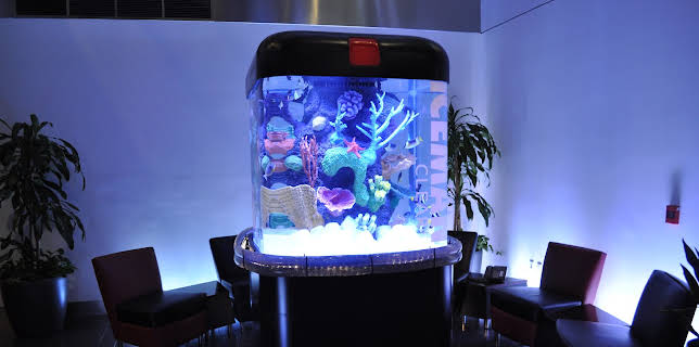 09:25: Tanked (S3 E11) (S3) | Animal Planet | 1/12 2026