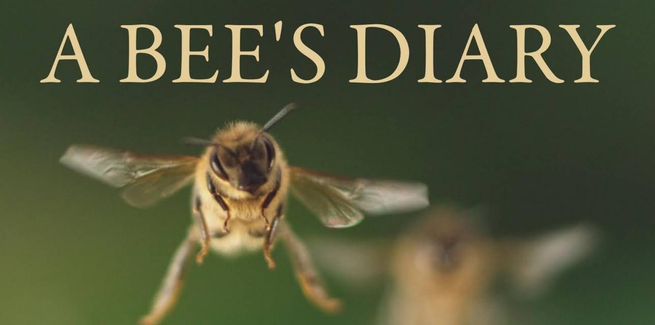 A Bee's Diary