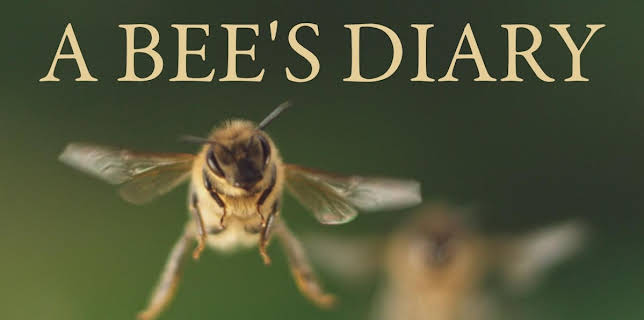 A Bee's Diary