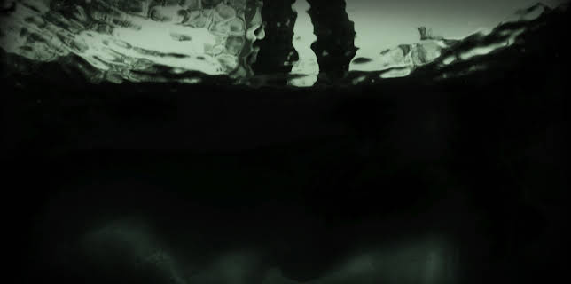 2:00 PM: Swamp Murders (S5 E1) (S5) | ID | 11/9 2025