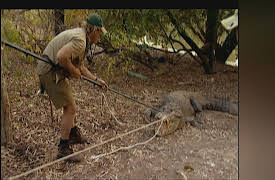 Crocodile Hunter Diaries: Girls Catch Crocs Too