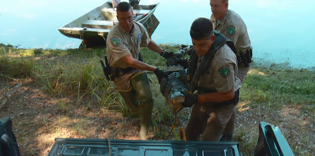 22:00: Lone Star Law  (S2 E3) (S2) | Animal Planet | 12/17 2025