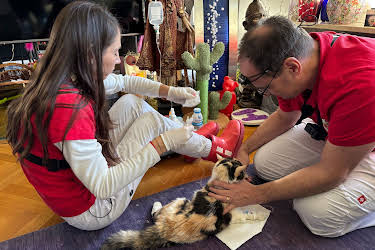 00:35: Alltagskämpfer - So tickt Deutschland! | RTL | 3/31 2026